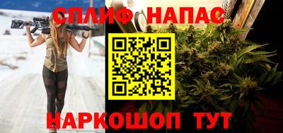 spice Кинель