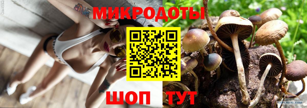 Коркино  Галлюциногенные грибы ЛСД  Вход с VPN  Псилоцибиновые грибы мухоморы 