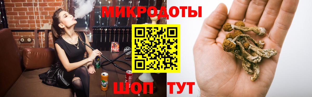 Псилоцибиновые грибы Psilocybe Коркино
