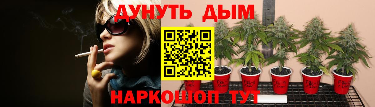 Бошки Шишки сатива Коркино